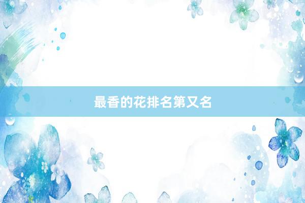 最香的花排名第又名